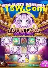 Recursos de Bônus 45b